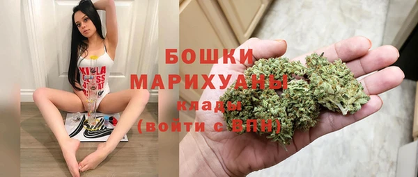 крисы Тавда