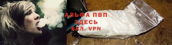 тгк Сясьстрой