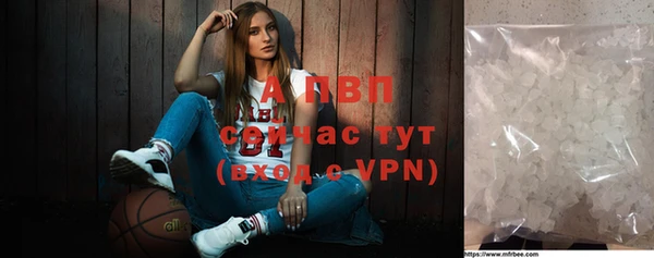 крисы Тавда