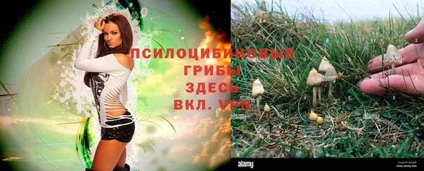 наркотики Тихорецк