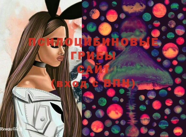 крисы Тавда
