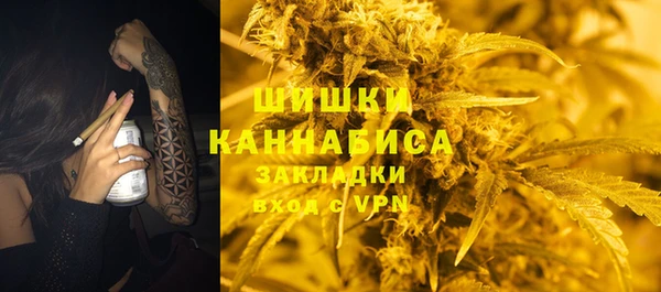 крисы Тавда