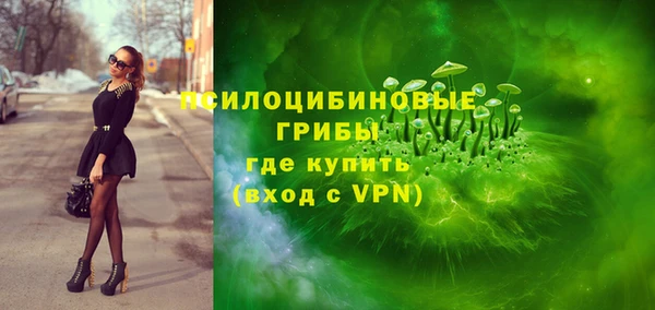 таблы Тайга
