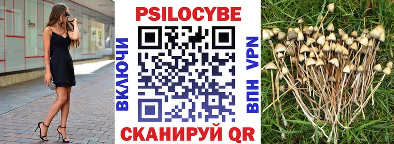 Псилоцибиновые грибы MAGIC MUSHROOMS Мостовской